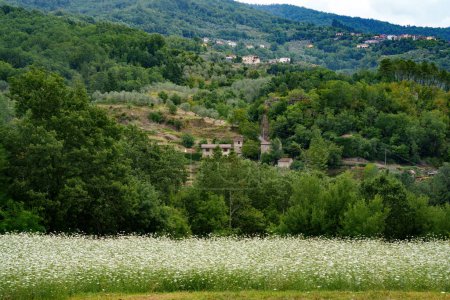 Téléchargez les photos : Paysage de montagne à Lunigiana près de Fivizzano et Licciana Nardi, province de Massa Carrara, Toscane, Italie - en image libre de droit