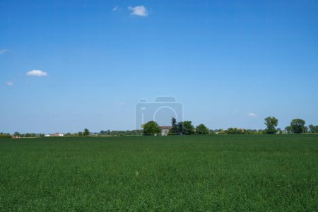 Photo for Country landscape near Fidenza, in Parma province, Emilia Romagna, Italy, at summer - Royalty Free Image