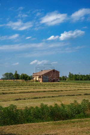 Foto de Paisaje rural cerca de Fidenza, en la provincia de Parma, Emilia Romaña, Italia, en verano - Imagen libre de derechos