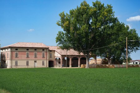 Téléchargez les photos : Paysage rural près de Fidenza, dans la province de Parme, Émilie-Romagne, Italie, en été - en image libre de droit