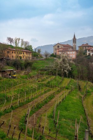 Rural landscape in Brianza in the park of Curone and Montevecchia, Lecco province, Lombardy, Italy, in March
