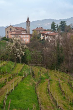 Paysage rural à Brianza dans le parc de Curone et Montevecchia, province de Lecco, Lombardie, Italie, en mars
