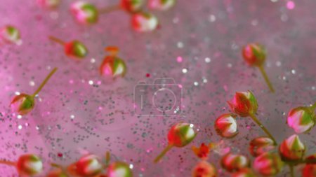 Glowing flowers. Shimmer paint. Defocused pink green silver color shine rose buds floating in sparkling sequin particles fluid bokeh abstract art background.