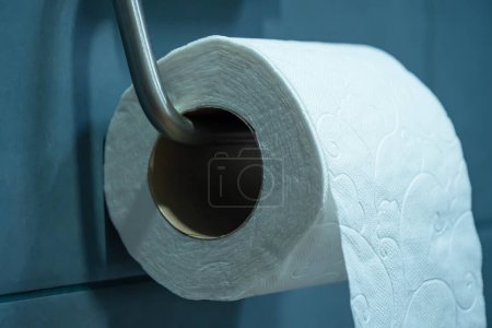 Eine Rolle Toilettenpapier, die an einem Metall-Toilettenpapierhalter an einer türkisfarbenen Badezimmerwand hängt, Nahaufnahme.
