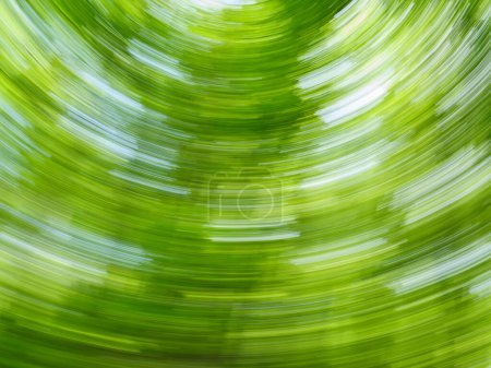 A dynamic, blurred swirl effect of green leaves in a forest capturing motion on a sunny day.