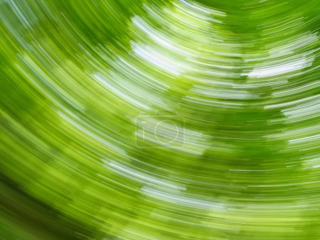 A dynamic, blurred swirl effect of green leaves in a forest capturing motion on a sunny day.