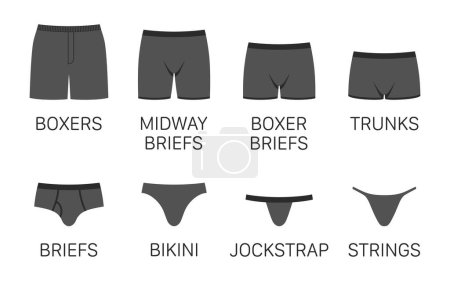 Conjunto vectorial de pantalones de ropa interior para hombre de diferentes tipos, aislados sobre fondo blanco.