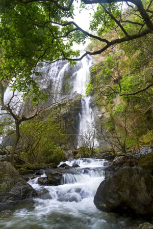 Téléchargez les photos : Khlong Lan cascade est belle dans la forêt pluvieuse et est une célèbre cascade de Kamphaeng Phet Province, Thaïlande. - en image libre de droit