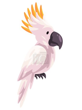 Ilustración de Cacatua pájaro loro blanco con cabeza amarilla vector animal ilustración plana adorable - Imagen libre de derechos