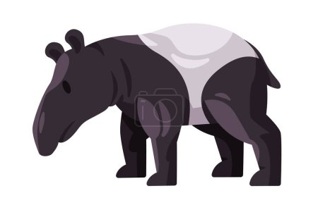 Illustration for Tapir tapiridae black and white color standing large herbivorous mammals with nose trunk illustration - Royalty Free Image