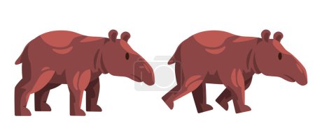 Illustration for Tapir tapiridae walking standing large herbivorous mammals with nose trunk illustration - Royalty Free Image
