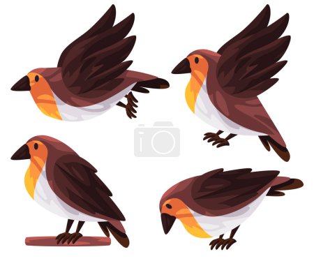 Téléchargez les illustrations : Robins oiseaux à poitrine orange chaud pose mouche stand illustration graphique vectorielle - en licence libre de droit