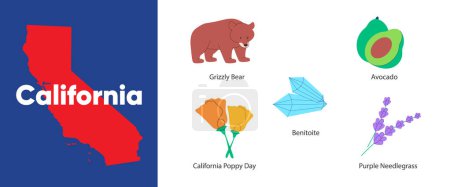 Illustration for California states map united America country symbol icon grizzly bear avocado poppy flower vector drawing illustration - Royalty Free Image