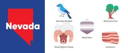 Téléchargez les illustrations : États du Nevada avec icône symbole du désert argenté mouflon cornemuse pin montagne bluebird grès illustration vecteur - en licence libre de droit