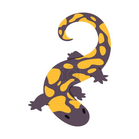 Téléchargez les photos : Salamandre tigrée barrée couleur noire et jaune tachetée nature sauvage animal gros amphibien créature forêt ou désert habitat vecteur - en image libre de droit