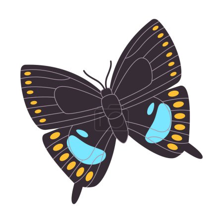 Téléchargez les photos : Couleur noire buisson d'épices hirondelle papillon beau motif coloré aile sauvage nature insecte animal vecteur - en image libre de droit