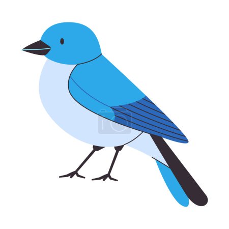 Ilustración de Montaña bluebird de pie pequeño hermoso salvaje naturaleza animal songbird vivir en América del Norte vector - Imagen libre de derechos