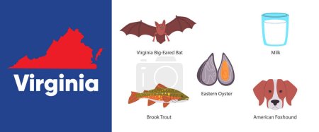 Illustration for Virginia states map shape of symbol object brook trout fish foxhound eastern oyster big eared bat America country illustration vector - Royalty Free Image