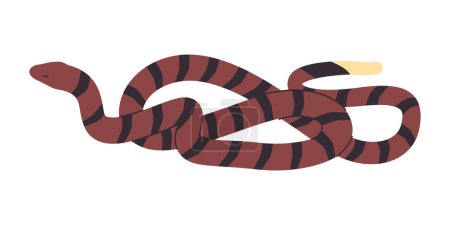 Illustration for Brown and striped black color snake wild nature reptile animal dangerous venomous predator creature vector - Royalty Free Image