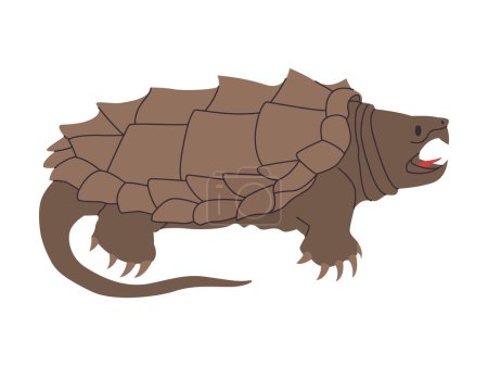 Ilustración de Cocodrilo o tortuga común tortuga salvaje reptil animal con boca afilado diente peligro depredador criatura vector - Imagen libre de derechos