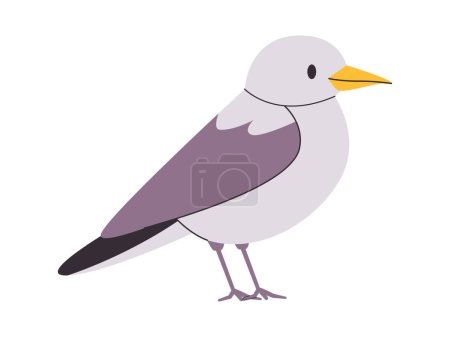 Téléchargez les photos : Blanc et gris couleur petit oiseau assez mignon nature animal créature faune belle espèce vecteur - en image libre de droit