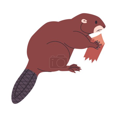 Illustration for Brown color beaver holding wooden and semiaquatic herbivores animal wild nature environment mammal creature vector - Royalty Free Image