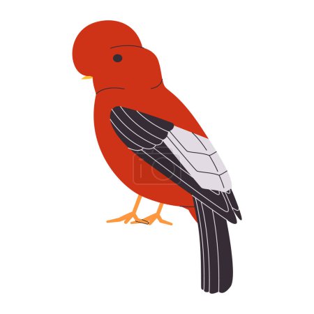 Téléchargez les photos : Couleur rouge petit oiseau et bite andine des espèces de roche assez mignon animal nature faune créature vecteur - en image libre de droit