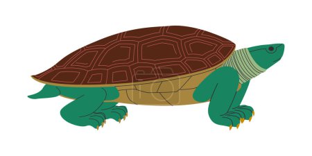 Illustration for Green turtle with brown shell wild nature omnivorous animal and slow walk reptile creature vector - Royalty Free Image
