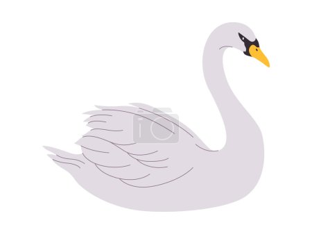 Illustration for White color whooper swan bird wild nature animal have beak and long neck with beautiful feather vector - Royalty Free Image