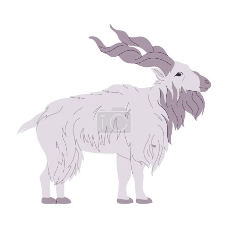 Téléchargez les photos : Couleur blanche markhor sauvage nature animal grosse chèvre avec spirale cornu herbivore mammifère créature vecteur - en image libre de droit