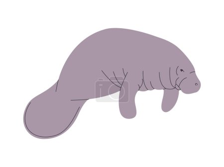 Illustration for Gray color manatee or dugong wild nature sea animal herbivorous mammal ocean creature vector - Royalty Free Image