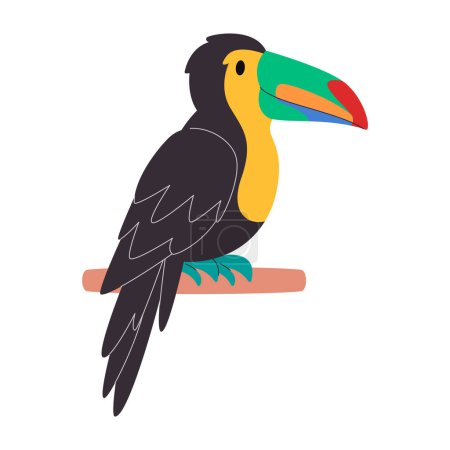 Téléchargez les illustrations : Corps noir et bec coloré oiseau quille facturé toucan espèces assez mignon nature animal faune créature vecteur - en licence libre de droit