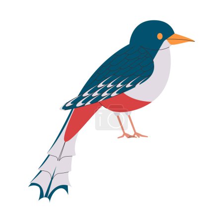 Téléchargez les illustrations : Vert et rouge couleur petit oiseau cubain trogon espèces assez mignon nature animal faune créature vecteur - en licence libre de droit