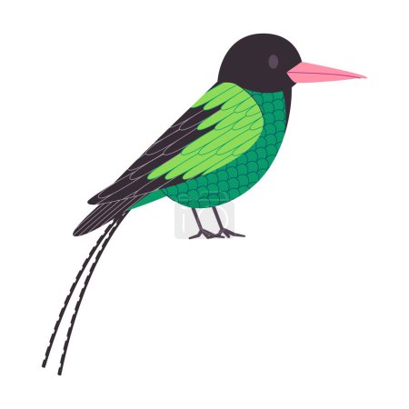 Téléchargez les photos : Vert et noir couleur petit oiseau rouge facturé espèces streamertail avec longue queue assez mignon animal nature faune créature vecteur - en image libre de droit