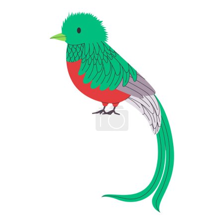Téléchargez les photos : Vert et rouge couleur petit oiseau resplendissant espèces quetzal avec longue queue assez mignon animal nature faune créature vecteur - en image libre de droit
