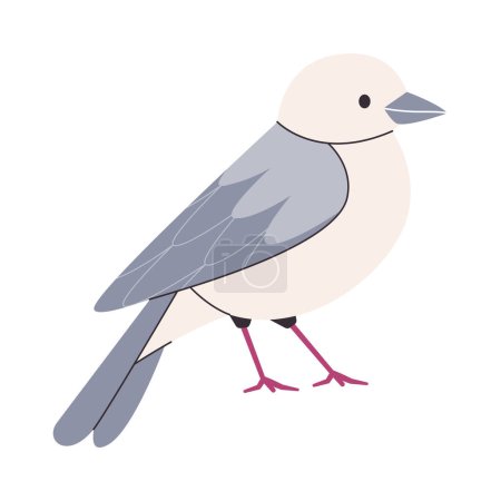 Ilustración de Blanco y gris color pequeño pájaro de luto paloma especies bastante lindo naturaleza animal hermosa fauna criatura vector - Imagen libre de derechos