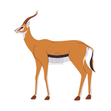 Ilustración de Color marrón springbok animal salvaje mamífero herbívoro carrera rápida y la cabeza tienen vector de cuerno - Imagen libre de derechos