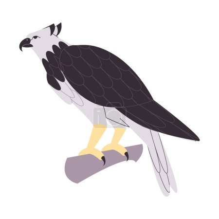 Téléchargez les illustrations : Noir et blanc couleur harpie aigle sauvage nature oiseau chasseur prédateur carnivore fort vecteur animal - en licence libre de droit