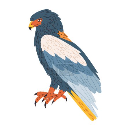 Téléchargez les illustrations : Coloré bateleur aigle sauvage nature animal chasseur prédateur carnivore et charognard oiseau vecteur - en licence libre de droit