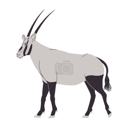 Ilustración de Blanco y negro color árabe oryx naturaleza salvaje animal mamífero herbívoro tiene cabeza larga cuerno vector - Imagen libre de derechos