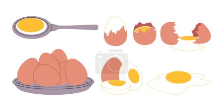 Illustration for Set egg food boiled or fried egg and cracked egg cooking healthy delicious meal vector - Royalty Free Image