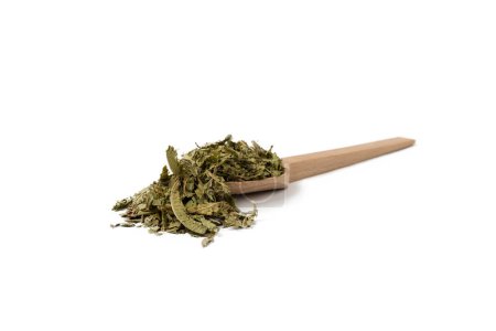 Dried leaves o Lemon verbena in latin Aloysia citrodora on wooden spoon isolated on white background. Medicinal. herb. Lemon verbena leaf extract is used for its energizing and refreshing properties, lemony scent. 