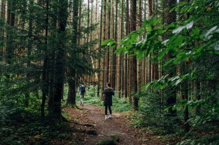 Foto de Turistas masculinos y femeninos caminan por un sendero forestal, montañismo, recreación activa, turismo. - Imagen libre de derechos