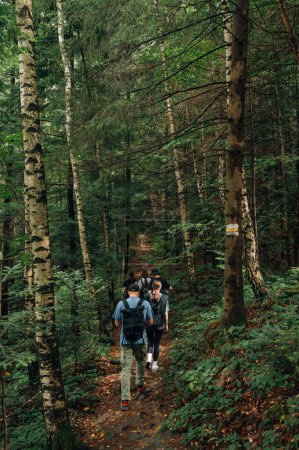 Foto de Grupo de jóvenes turistas en una caminata por la montaña, caminando por un sendero a través del bosque, subiendo a la cima. foto vertical. - Imagen libre de derechos