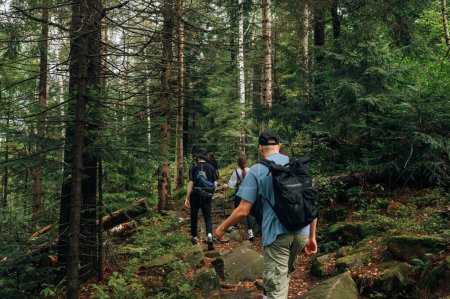 Téléchargez les photos : Groupe d'amis randonneurs se promènent dans les montagnes sur un chemin à travers la forêt, vue arrière. Les amis se reposent activement dans les montagnes. - en image libre de droit