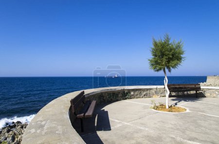 Téléchargez les photos : Pont d'observation au bord de la mer avec un arbre - en image libre de droit