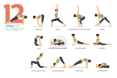 Infografik 12 Yoga-Posen für das Training zu Hause im Konzept der Flexibilität in flachem Design. Frauen, die zum Dehnen ihres Körpers trainieren. Yoga-Haltung oder Asana für Fitness-Infografik. Flache Cartoon Vector Illustration.