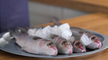 Foto de Mullet fish on plate with ice cubes. Fresh mullet fish. Unrecognizable cooking dish from sea fish. Delicacy healthy food concept, Healthy nutrition of seafood - Imagen libre de derechos