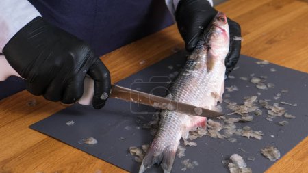 Foto de Hands scrub scales of a wild mullet fish. Peel fish from scales with sharp knife. Fresh fish cutting process. Unrecognizable cook cleans seafood. Cooking fish at home. Healthy food concept slow motion - Imagen libre de derechos