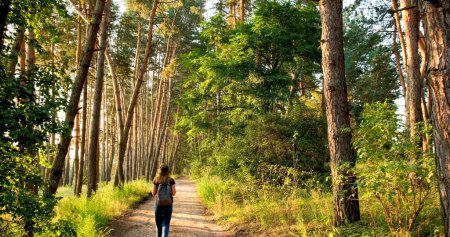 Foto de Woman steps along path in forest, looks around, enjoys nature. Hiking in pine forest. Active healthy caucasian woman in jeans and hat with a backpack taking in wood. Concept of healthy lifestyle, relaxing, relax, rest alone, self-isolation - Imagen libre de derechos